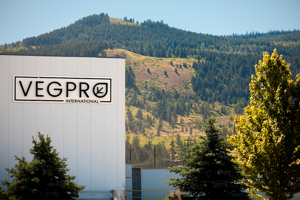 Employee who cleans salads - Vegpro