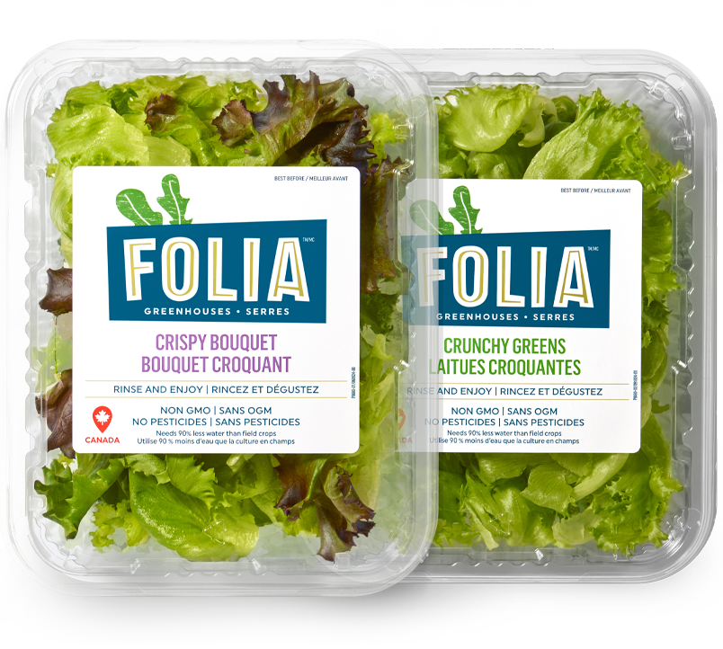 Folia - Vegpro