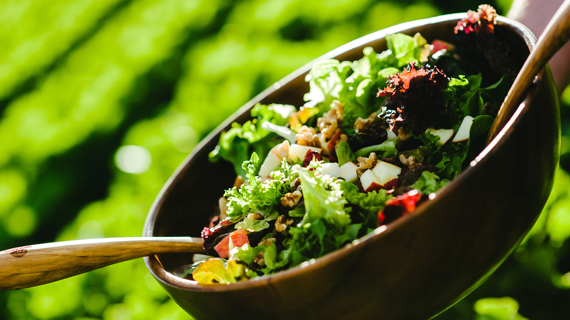 Nos marques - Vegpro