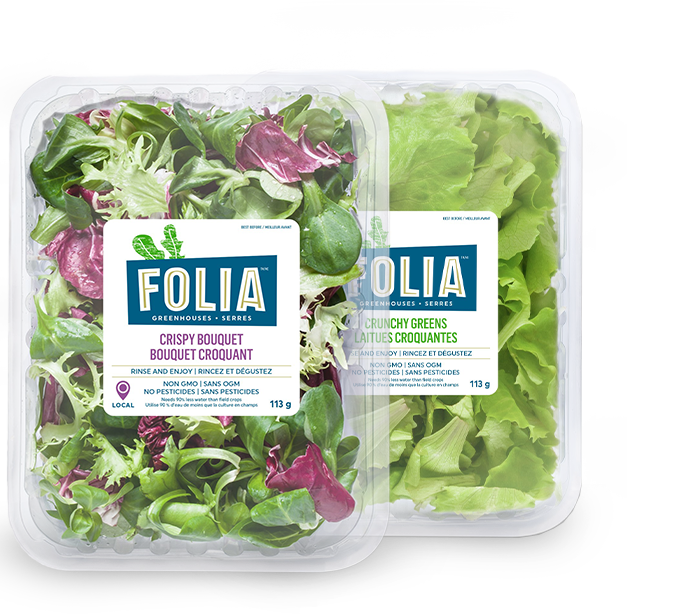 Folia - Vegpro