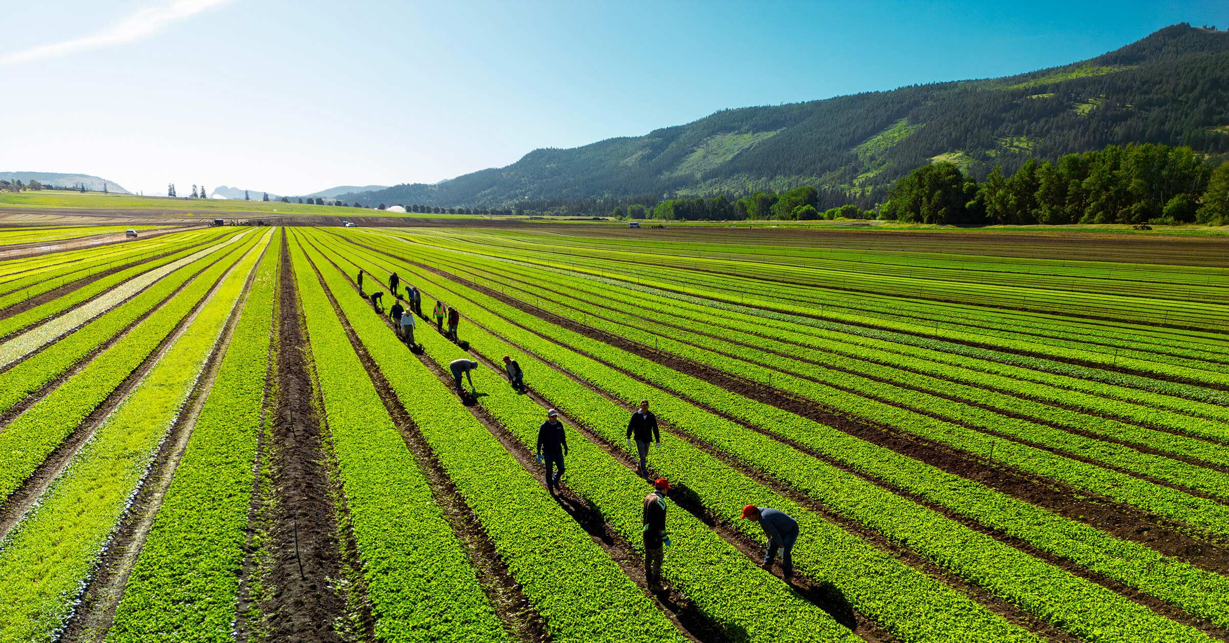 Notre culture - Vegpro