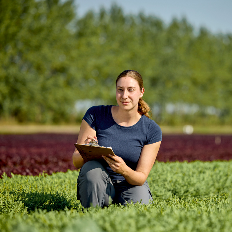 Amélie Bernard  - Vegpro