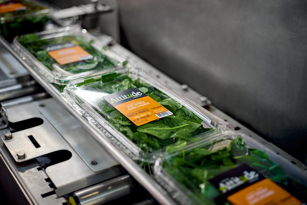 Nous croyons en la circularité comme un pilier essentiel du développement durable.