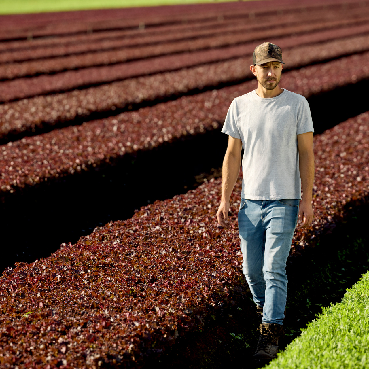 Sébastien St-Onge - Vegpro
